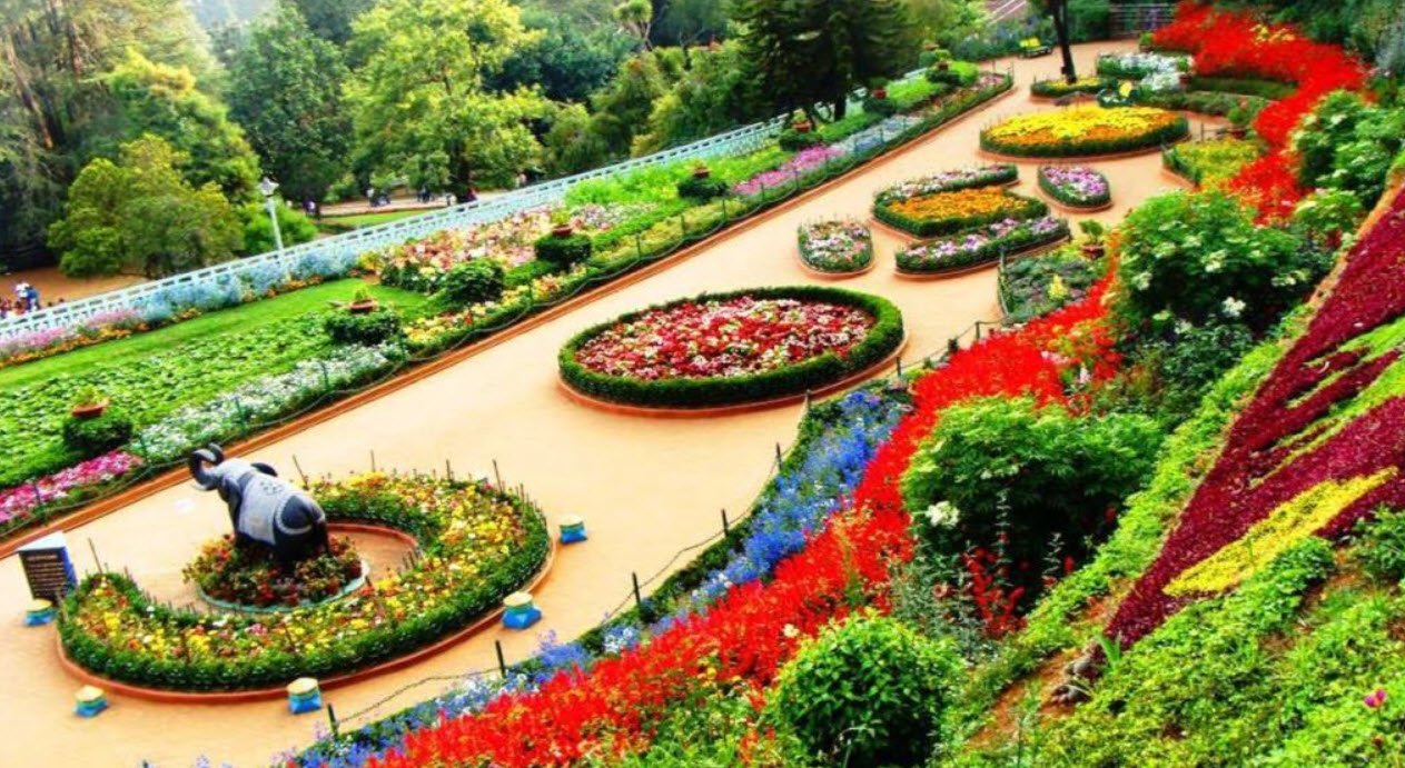 Zakir Rose Garden